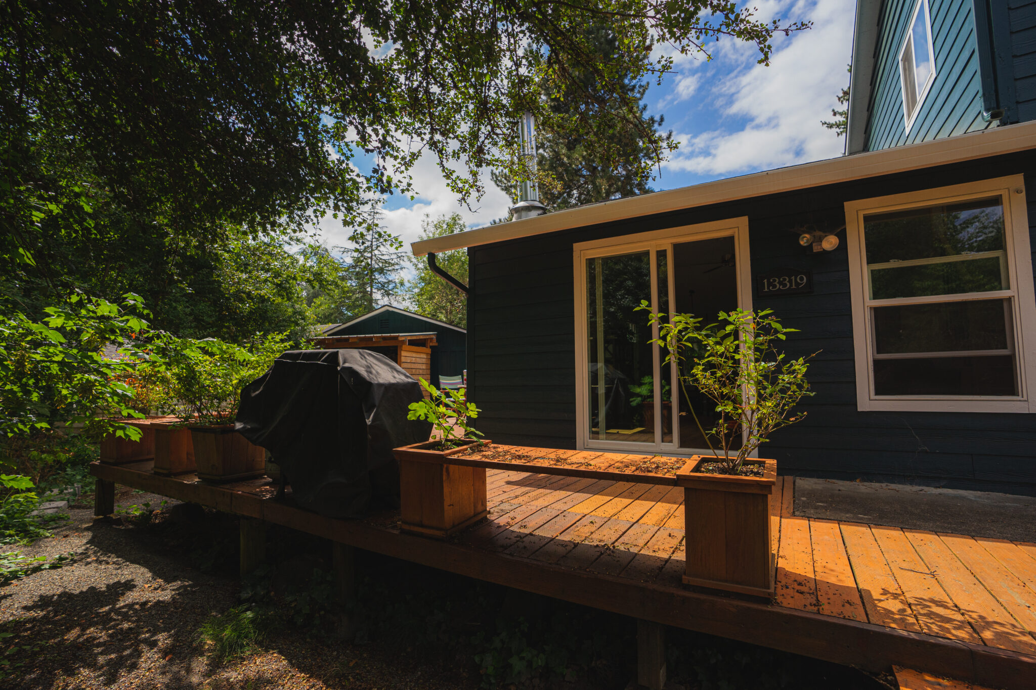 What We Do Dandelion House